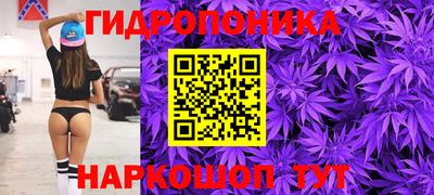 гидропоника Лесосибирск