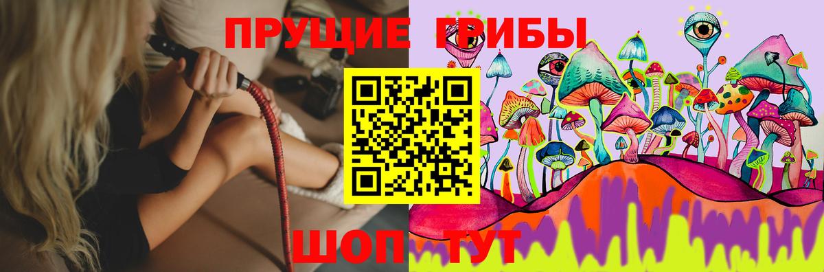 Псилоцибиновые грибы мухоморы  наркошоп  Заводоуковск  Вход с VPN 